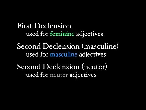 First and Second Declension Adjectives
