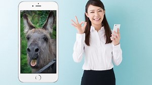 2021年インターネットのおもしろかった記事