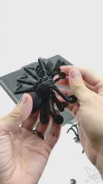 Updated Tarantula for High Speed 3D Printers