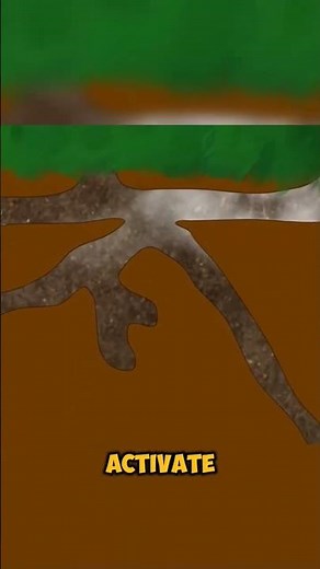 This Device can exterminate all the rats on the ground! #exterminator #extermicide