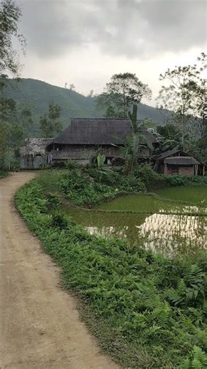 A rural road in Ban Thau Kim Thach village, Phu Linh commune, Tuyen Quang province.