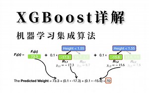 菜鸟狂喜！最简洁的机器学习【xgboost算法】教程，3小时教会我大学四年都没学会的集成算法，超详细！