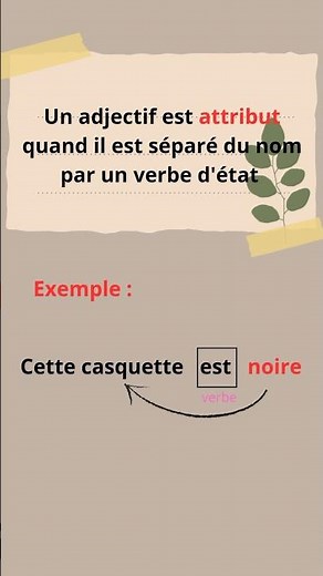 L'adjectif épithète et attribut #français