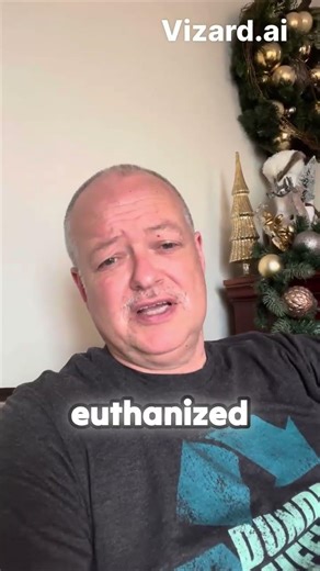 Why are so many dogs being euthanized