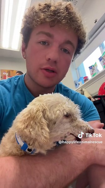 Happy Life on TikTok