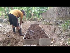Berkebun - membuat bedengan & menanam sayuran