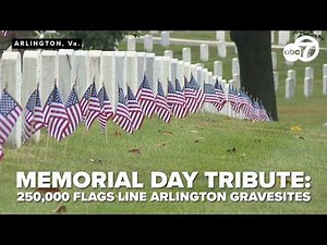 WATCH: Soldiers place 250K flags at Arlington National Cemetery