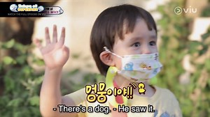 This is ME na inutusan para magdala ng pagkain sa kapitbahay naming may palaban na aso: | Viu Philippines