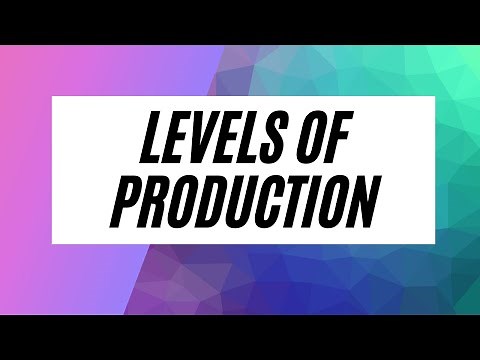 CSEC Principles of Business (P 6) - Levels of Production