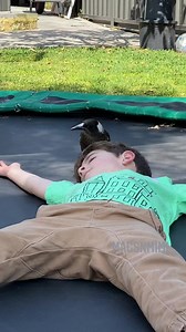 1.1M views · 23K reactions | Bird vs Kid | magpie trying to make us laugh | bird thinks it’s a dog #amazinganimals #funnyanimals #cute #bestfriends #birds #magpie #interspeciesfriendship #unlikelyanimalfriends #funnyvideos #funnyreels #magsnmimi #pets #parrotlife #puppy #goldendoodle #laugh | Mags and Mimi | Facebook