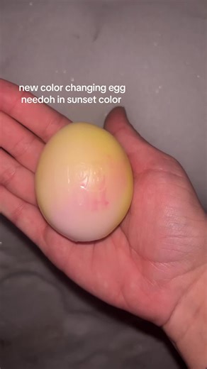 Cool Color Changing Needoh Egg for Stress Relief