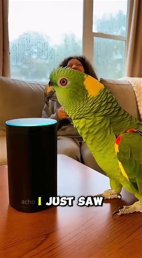 Parrot ROASTS Alexa for Lying About the Weather 🤣🌧️🦜