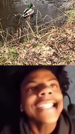 Donald the editor (@donald.the.editor)’s videos with original sound - Donald the editor