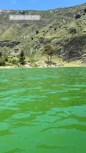 Cuentas recomendadas