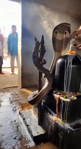 Subha subha le shiv ka naam 😌🙏🏻 | Abhisinha vlogs