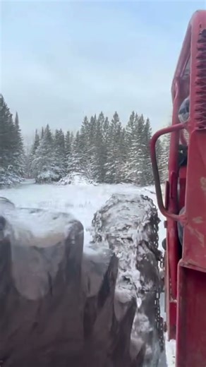 353 Detroit diesel powered timberjack 230#skidder #detroitdiesel #logging #timberjack