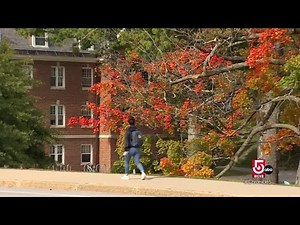 Visitors and locals find plenty to do, see and eat in Durham, NH