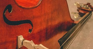 Building an Upright Bass with Nick Lloyd