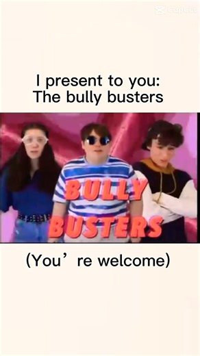 THE BULLY BUSTERS ✨✨✨