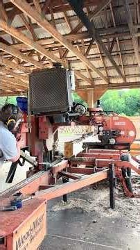 Sawing pine logs with the wood mizer sawmill!
