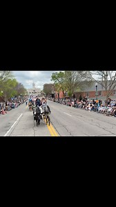 2K views · 4.6K reactions | Not everyday your mules get to be the Grand Marshalls of the #ColumbiaMuleDay parade!! So great to see so many smiling, mule-loving faces!! #mulepower #mountainmulepackers #missionmules #butgod | Mountain Mule Packer Ranch | Facebook