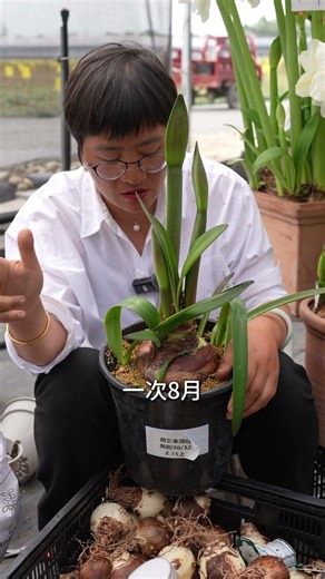 用了奧綠328，懶人養護也爆花