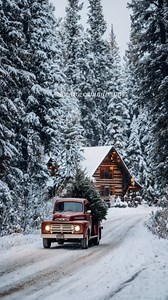 Cabin comfort in every scene. 🏕️🎄🧑‍🎄❄️❤️ #CabinLife #CabinLiving #CozyCabin #CabinVibes #RusticLiving #CabinHome #CabinTour #WarmAndCozy #NatureRetreat #SimpleLiving #LogCabinLove #HomeInTheWoods #CabinLifestyle #CozySpaces #RusticCharm | Cozy Cabin Dreams