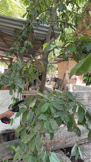 Mini chainsaw #chainsaw #minichainsaw