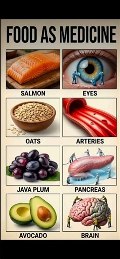 Food as Medicine How Everyday Foods Support Specific Organs