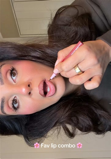 Beste Lip Combo: NYX, Tom Ford und L'Oréal