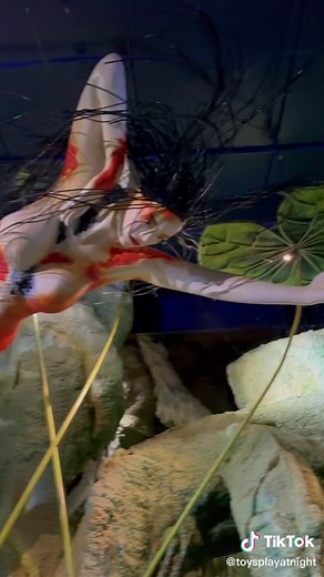 Exploring Wizard Quest in Wisconsin Dells