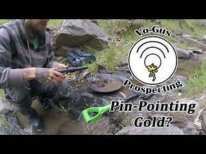 Can You Find GOLD Nuggets with a Pin Pointer?