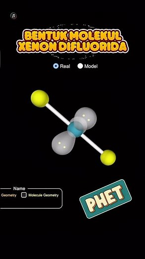 Molecular form of XeF2 Xenon Difluoride with PHET #phet #chemistry #chemistry #shorts