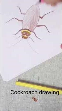 How to draw a Cockroach 🪳# easy drawing # art # trending # viral shorts # 🙂🪳👍👌