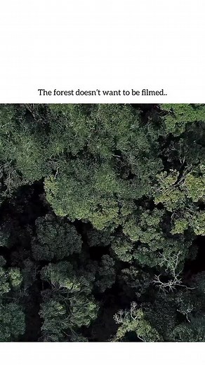 🎬 Gaia (2021 Movie) 🎥 1hr 36mins • Horror/Fantasy 🎞️ Deep within a South African forest, park ranger Gabi stumbles upon a reclusive father and son living off the grid. But their survivalist lifestyle is rooted in more than isolation; they worship an ancient fungal entity that infects the living and reshapes nature itself. As Gabi recovers from an injury in their care, she begins to experience terrifying visions and uncovers a dark, eco horror secret threatening both her body and mind. Gaia is