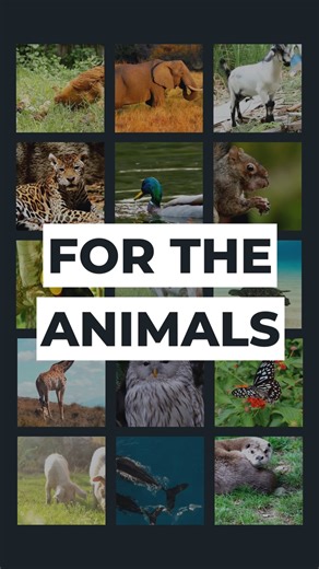 2.6K views · 162 reactions | Ending factory farming doesn't just benefit farmed animals. It benefits all creatures and the planet they call home. Help us create change: thl.link/sign-up-fb | The Humane League UK | Facebook