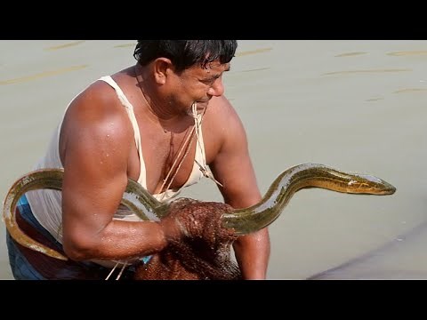 Best Hand Fishing Technique|Unique Primitive River Fishing|Amazing Rural fishing