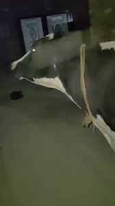 The News express on Reels