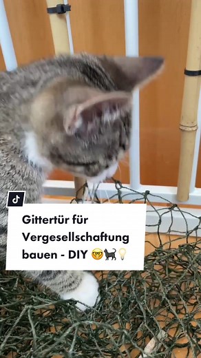 TikTok - Make Your Day