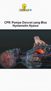 CPR itu intinya teknik darurat buat ngejaga aliran darah dan oksigen kalau jantung berhenti. Tekanan di dada bikin jantung yg lagi macet tetap bisa mompa darah ke otak dan organ penting. Tanpa itu, otak bisa rusak cuma dalam hitungan menit. Tekanan berulang di dada berfungsi kayak pompa manual, nyelamatin waktu sampai bantuan medis datang atau alat kejut jantung bisa dipakai. CPR bukan bikin orang langsung sadar, tapi bikin aliran hidupnya tetap nyambung sementara. | Cerdas