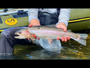 Catching HUGE TROUT on the Bow River (12hr FLOAT)