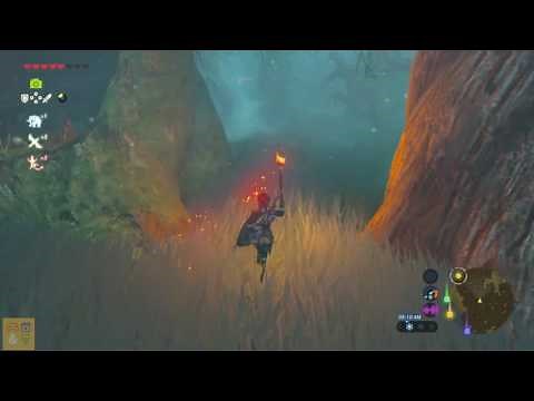 Zelda: Breath of the Wild: How to navigate the Lost Woods and get the Master Sword