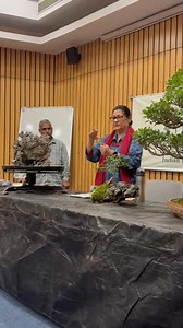 🌱 What Is Root-Over-Rock Bonsai? In this style, the bonsai tree’s roots are trained to grow over a rock and down into the soil. Over time, the roots fuse tightly to the rock’s surface, gripping it like veins of life. The exposed roots become a dramatic focal point, telling a story of survival against the odds. | Indian Bonsai Association