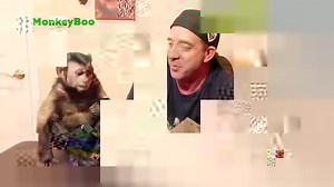 169K views · 10K reactions | A cute monkey tests his luck with 2 scratch off tickets and WINS $1000?!  What is the most you've ever won on a scratch off ticket?  | MonkeyBoo | Facebook