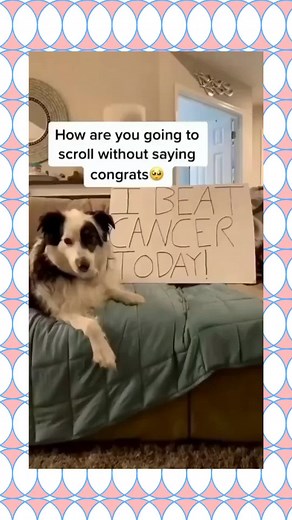 Cute Dogs Compilation 😭 . . . .#dogsoftiktok #dog #dogs