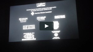 Dolphin Tale 2 Credits Pop Mix-HD