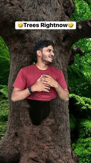 470K views · 10K reactions | Trees Right Now藍藍藍 Time pass ke liye Download RummyCircle App https://rummycirclelink.click/SidPrajapatiFB Now and Win 2000 Welcome Cash Bonus...!!Link meri comment mai bhi hai #reelsvideo #reelsfacebook #reelsviral #reelitfeelit #reels #spindia | Spindia | Facebook