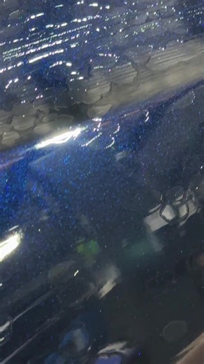 Hacked Honda Accord: A Car Modification Journey