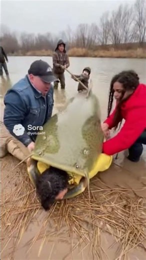 Giant Catfish Swallows Girl! Chaos Erupts as Bystanders Rush to Help 😱