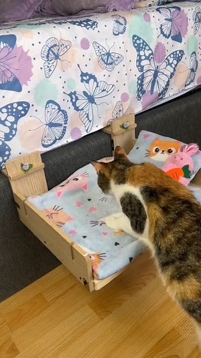 3.4K views · 65 reactions | Cute Bed for your dear Pets  | Bedroom designs & moda | Facebook